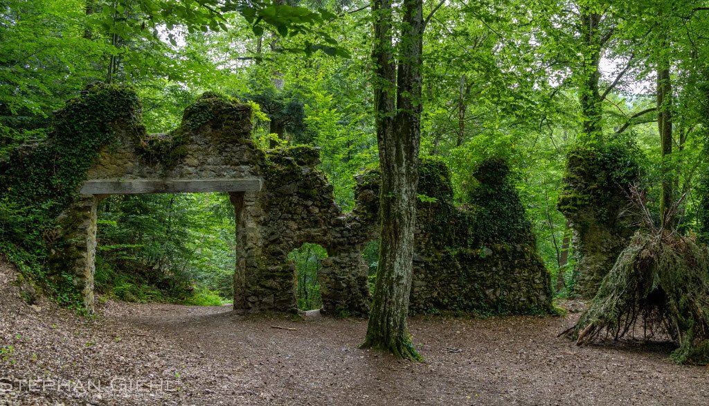 Wiesneck Castle, Germany